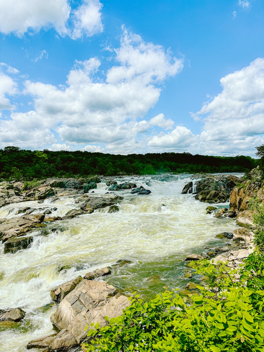 Great Falls Park