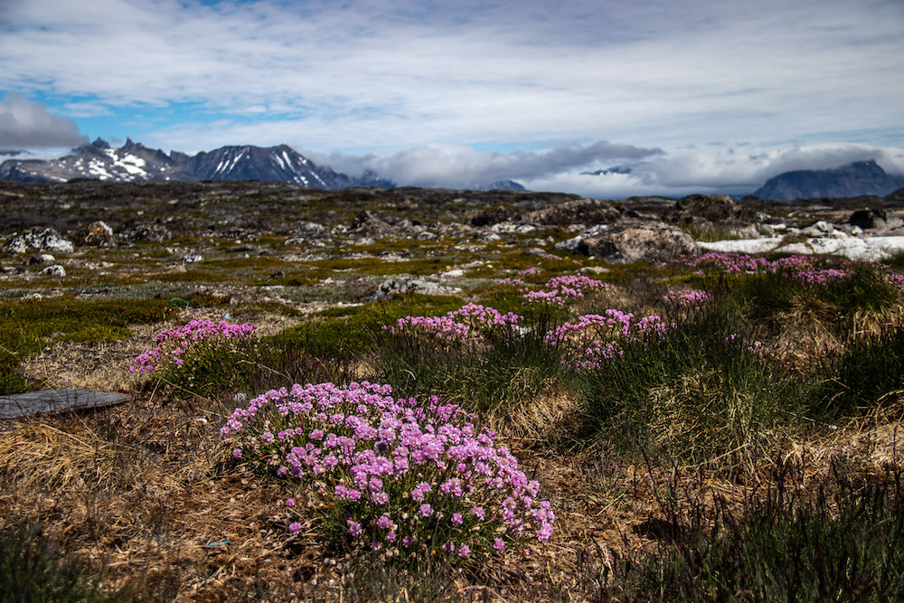 Groenland naij Nanortalik