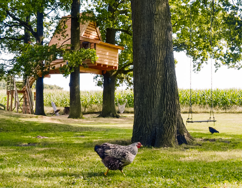 Haarlo Gelderland slapen in een boomhut Boomhut