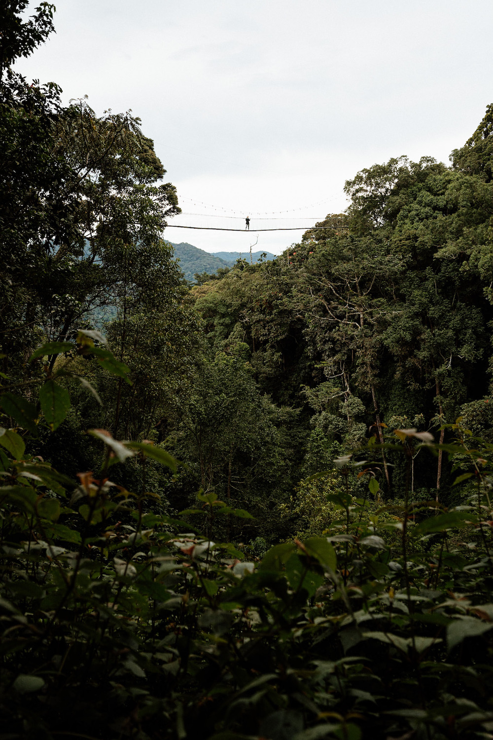 Hangbrug Rwanda Nyungwe