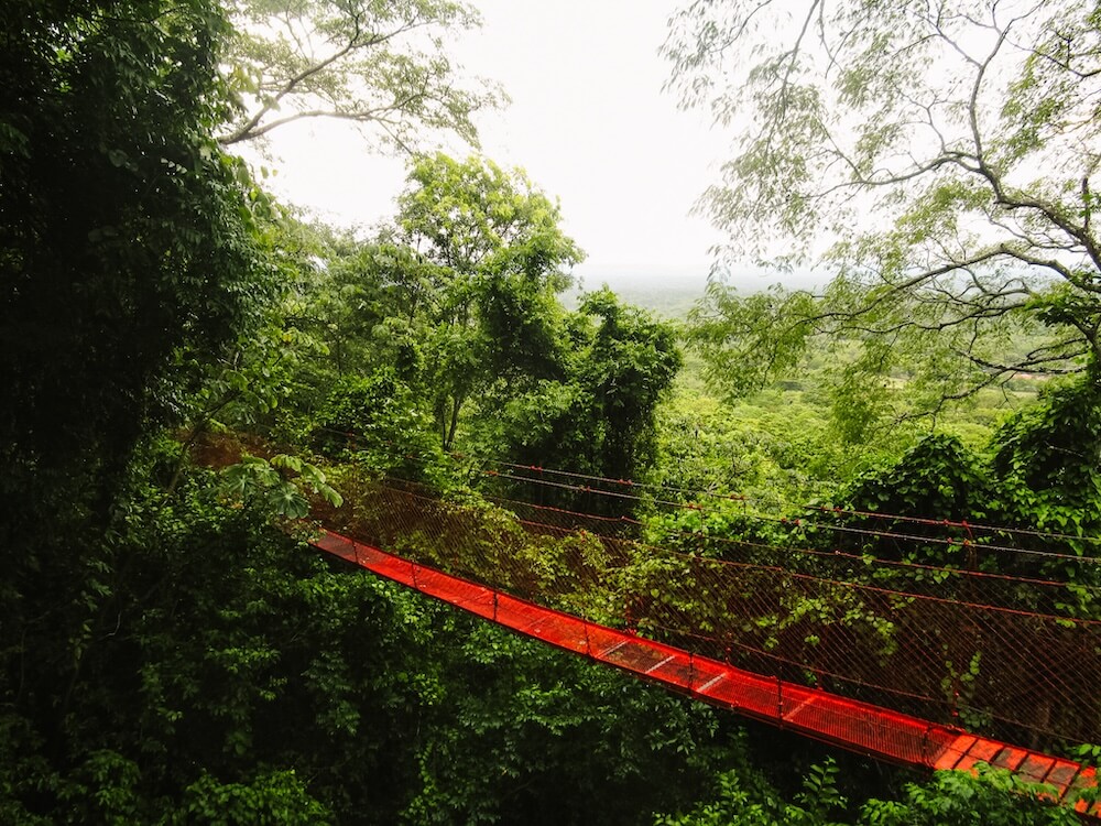 Hangbrug Treehouse