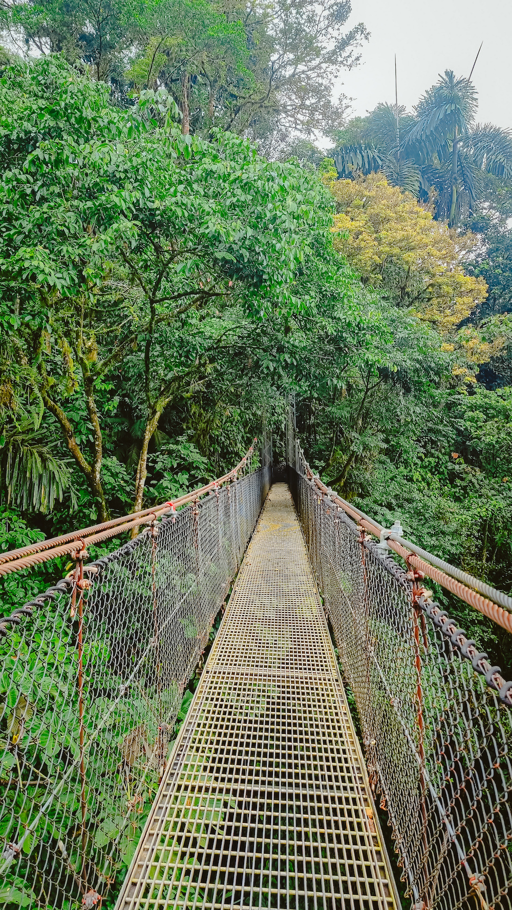 Hangbrug in La Fortuna