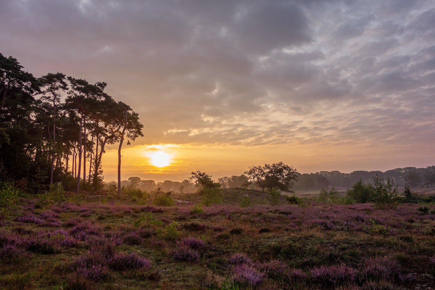 Hatertse Vennen, wandelen in Nijmegen