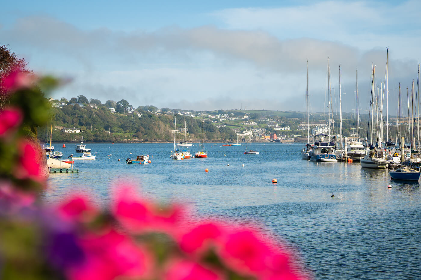 Haven bezoeken walvissen Kinsale