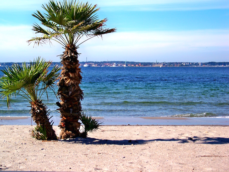 Helsingborg_Tropical Beach