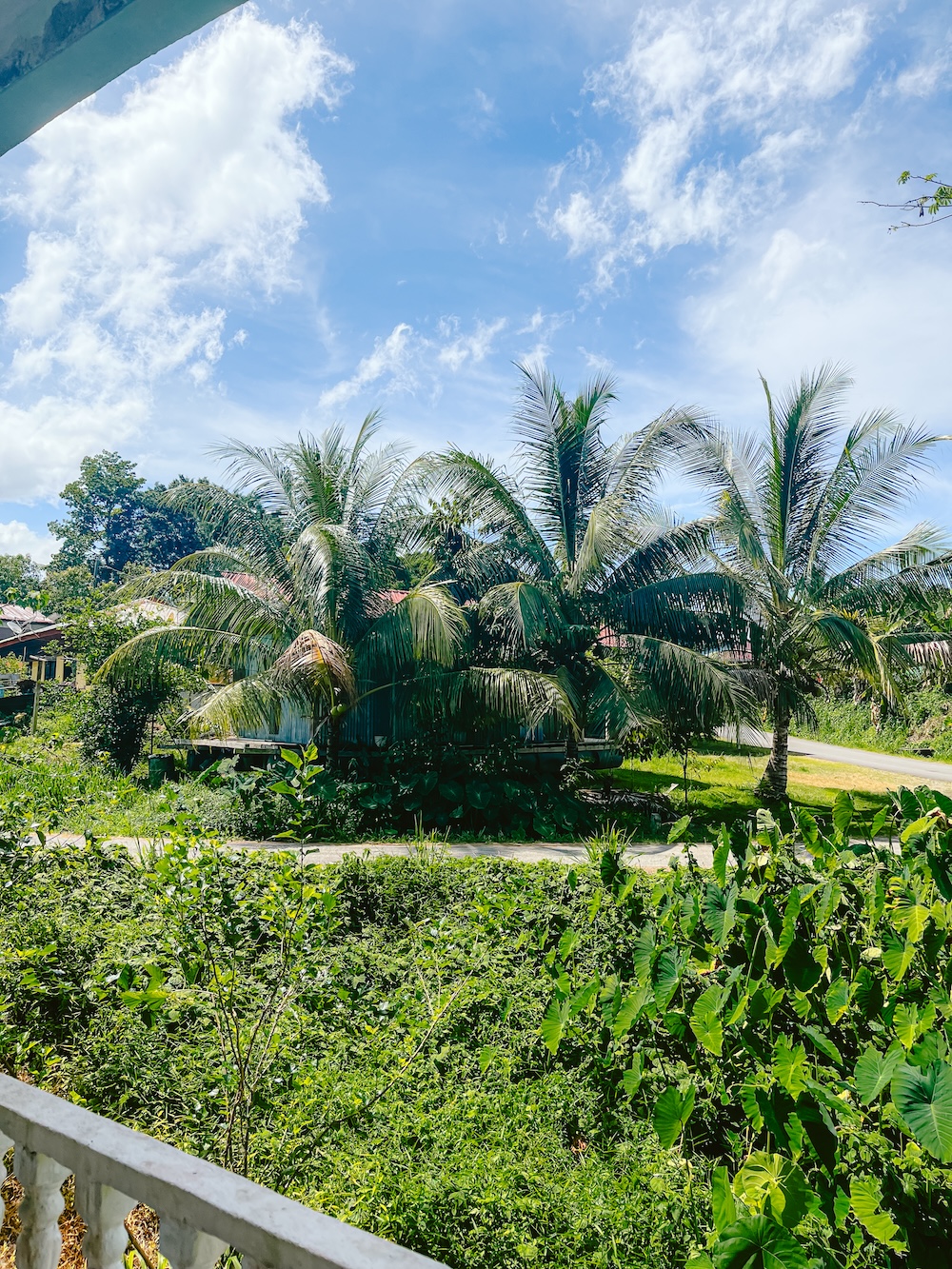 Het dorp Taman Negara