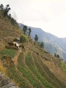 Himalaya trekking nepal voor de boomgrens