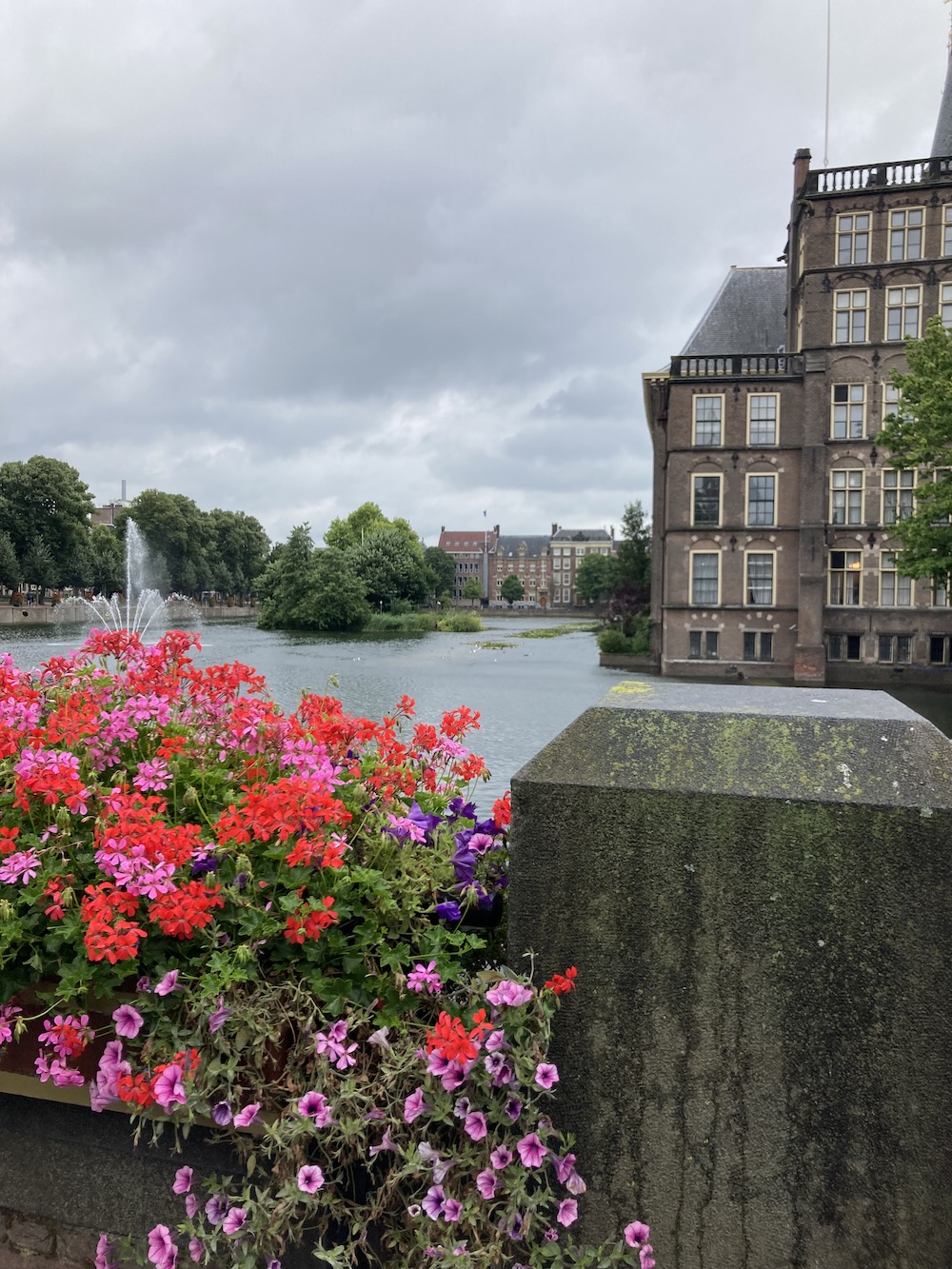 Hofvijver bij het Binnenhof