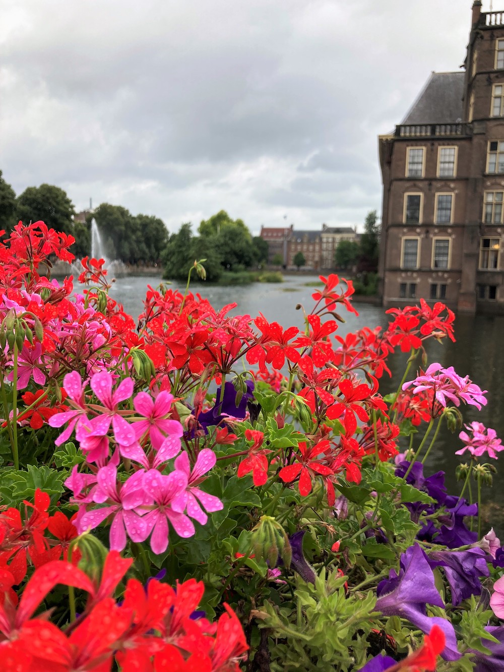 Hofvijver bij het Binnenhof Den Haag