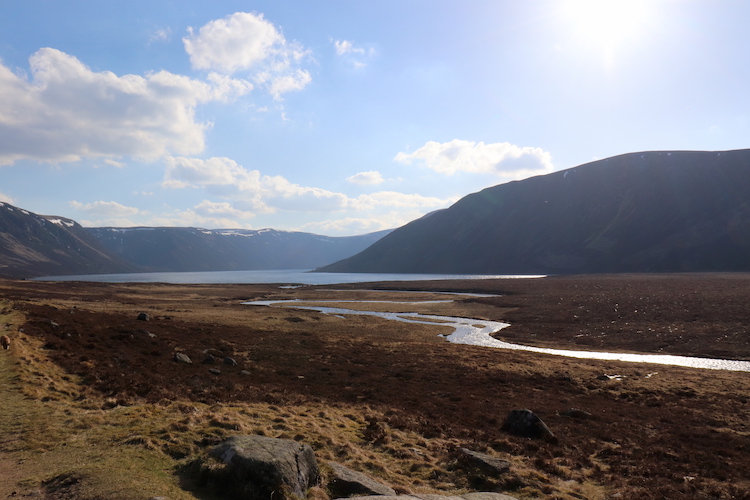 Hooglanden Schotland Cairngorms park