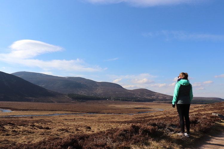 Hooglanden in Schotland Cairngorms