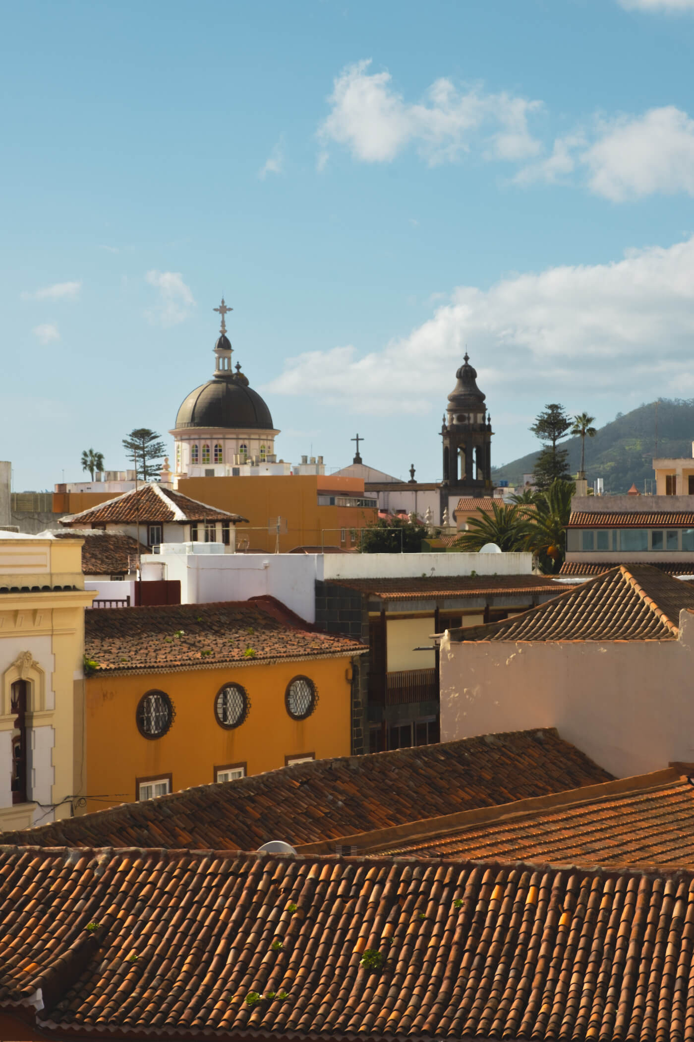 Hotel La Laguna