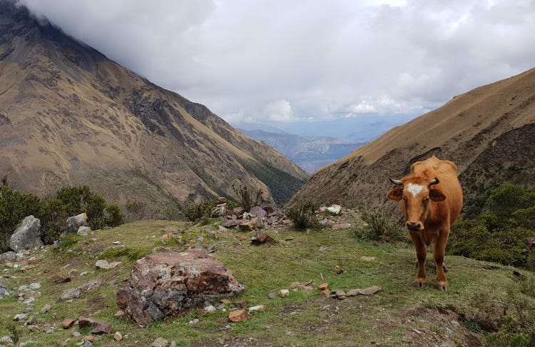 Humantay Lake tour zonder in peru