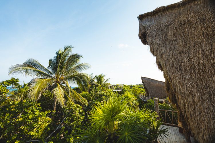 Ikal Tulum boomhut uitzicht-2