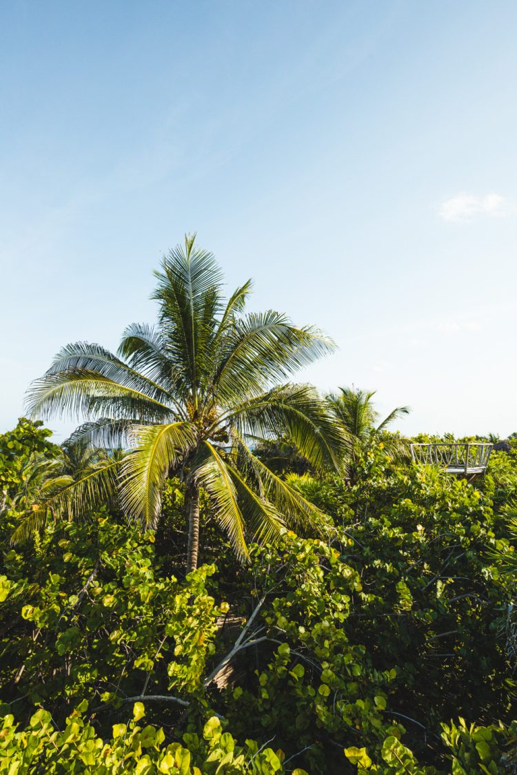 Ikal Tulum boomhut uitzicht