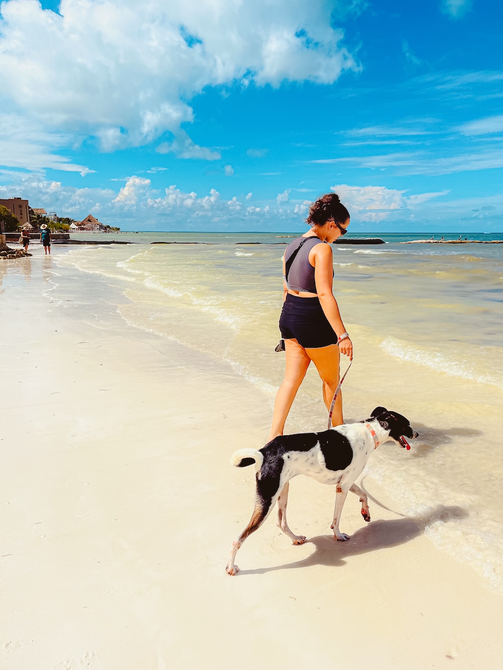 Isla holbox hond uitlaten