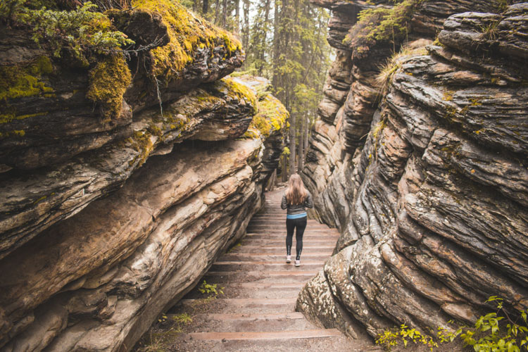 Jasper National Park Canada Athabasca Falls