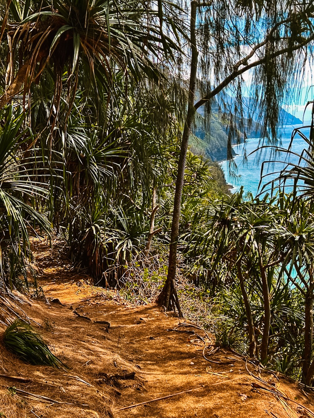 Kalalau Trail in Haena park