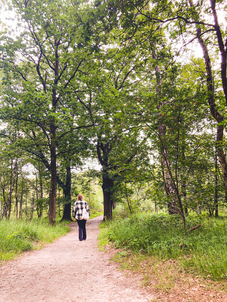 Kampina wandelroute