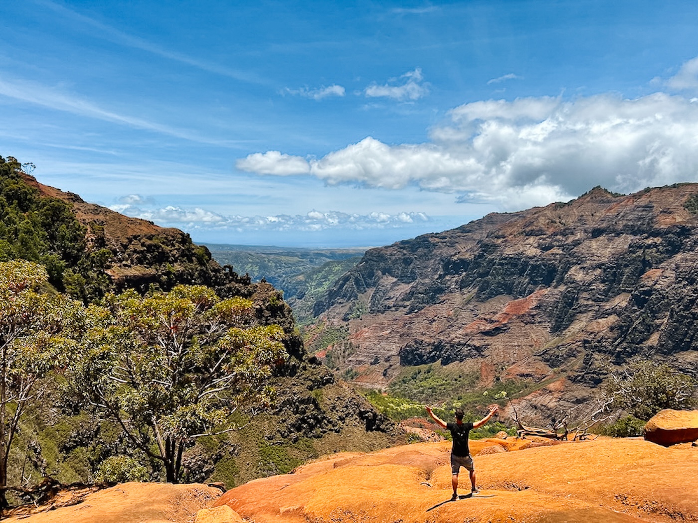 Kauai uitzicht, Waimea Canyon