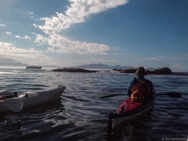 Kayak in omgeving kaapstad tips