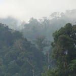 Khao sok ochtend thailand