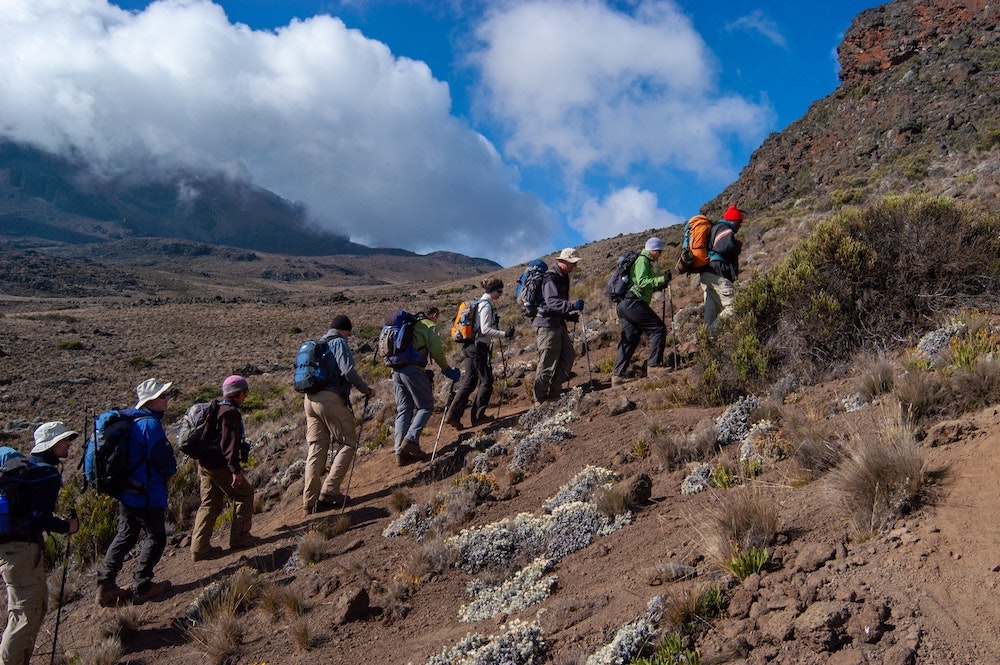 Kilimanjaro beklimmen