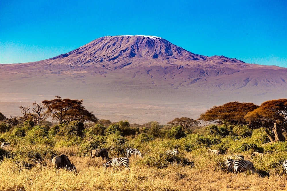 Kilimanjaro