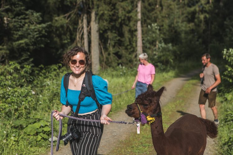 Kitzbuhel zomer alpacas