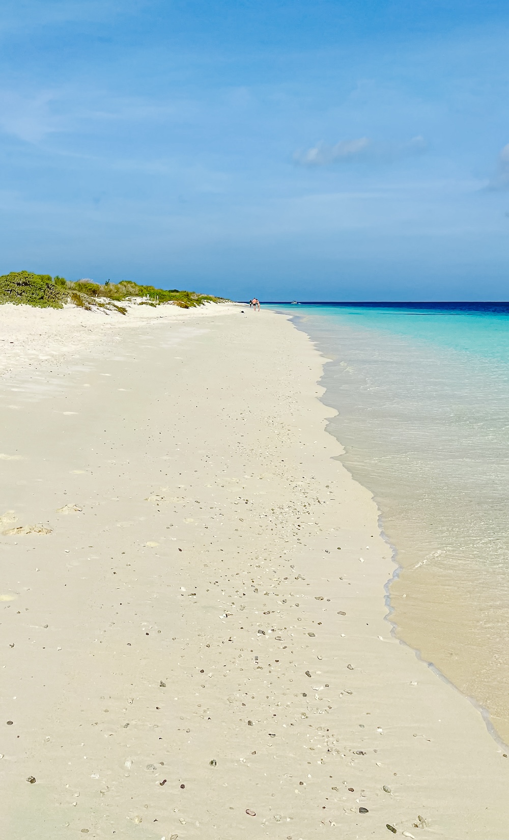 Klein Bonaire, Bonaire natuur