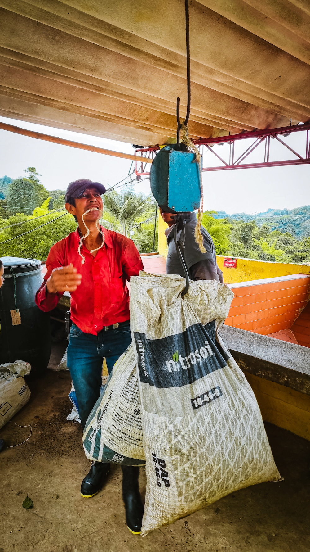 Koffie farm, Salento Colombia