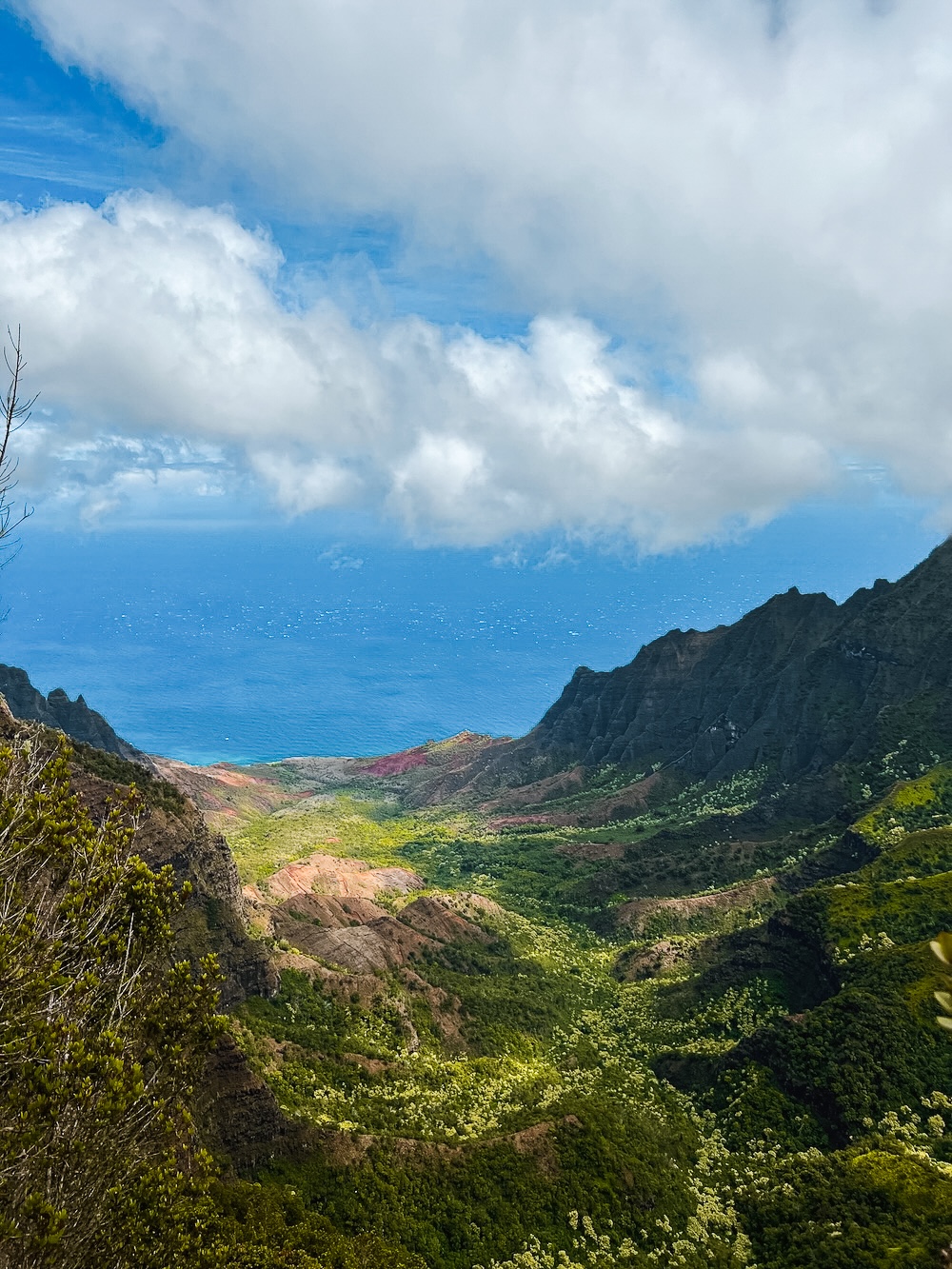 Kokee State Park Hawaii