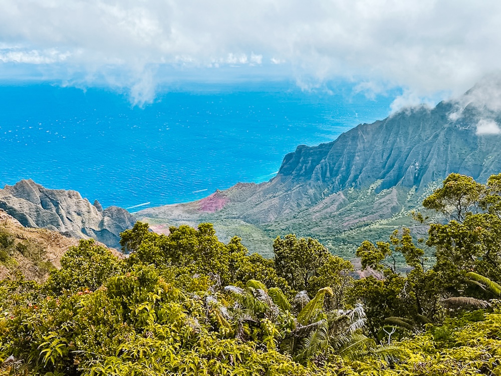 Kokee State Park, Kauai Hawaii