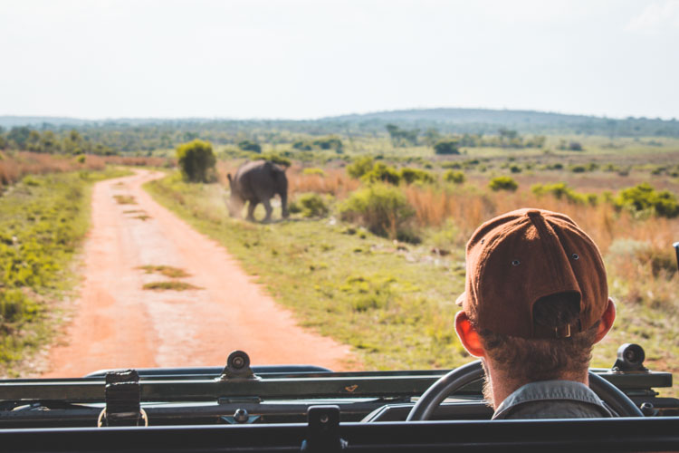 Kololo Game Reserve safari_