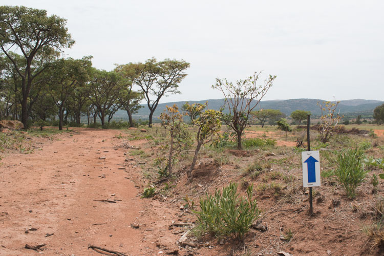 Kololo Game Reserve wandeling safari