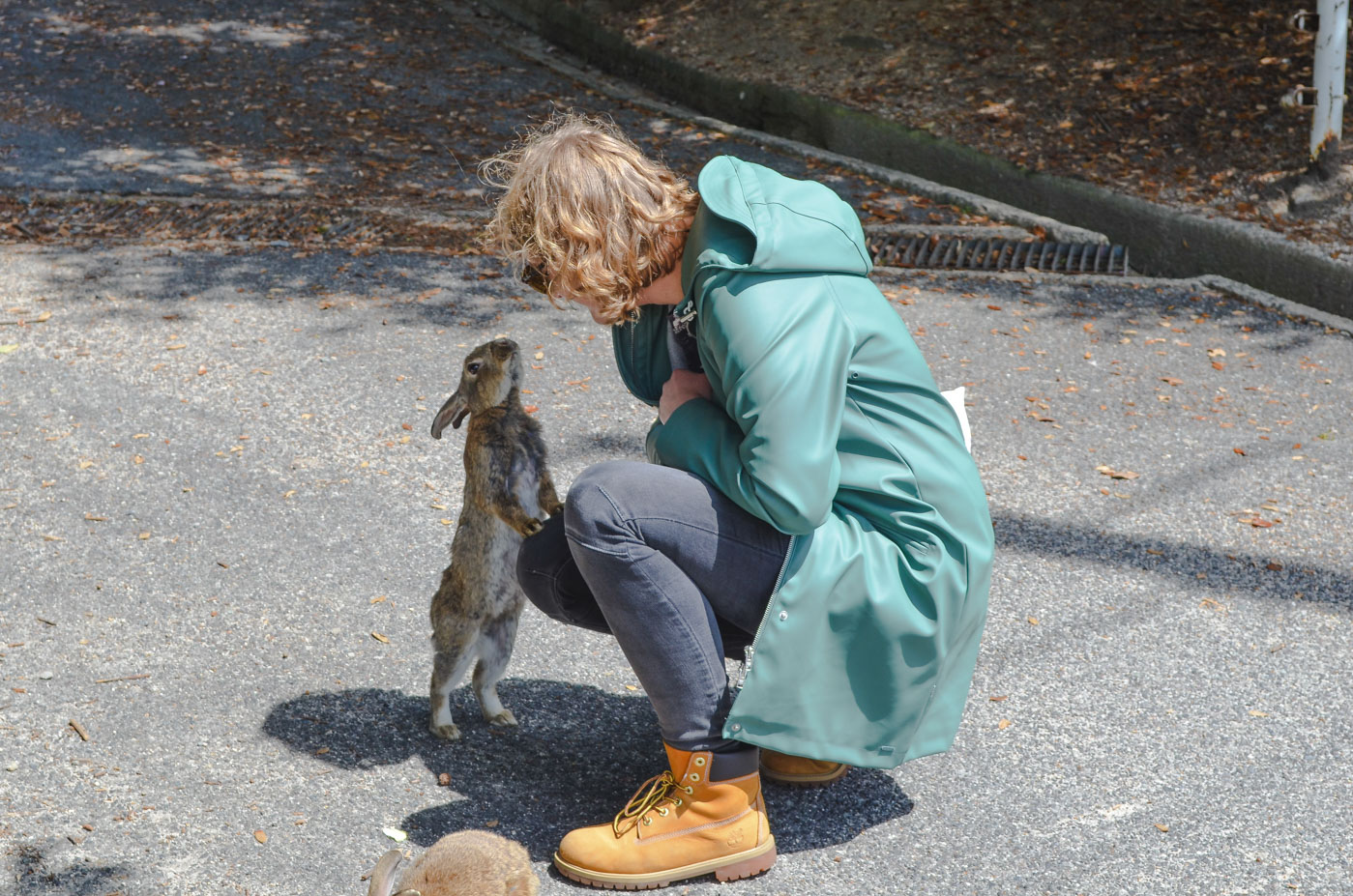 Konijneneiland Okunoshima Japan