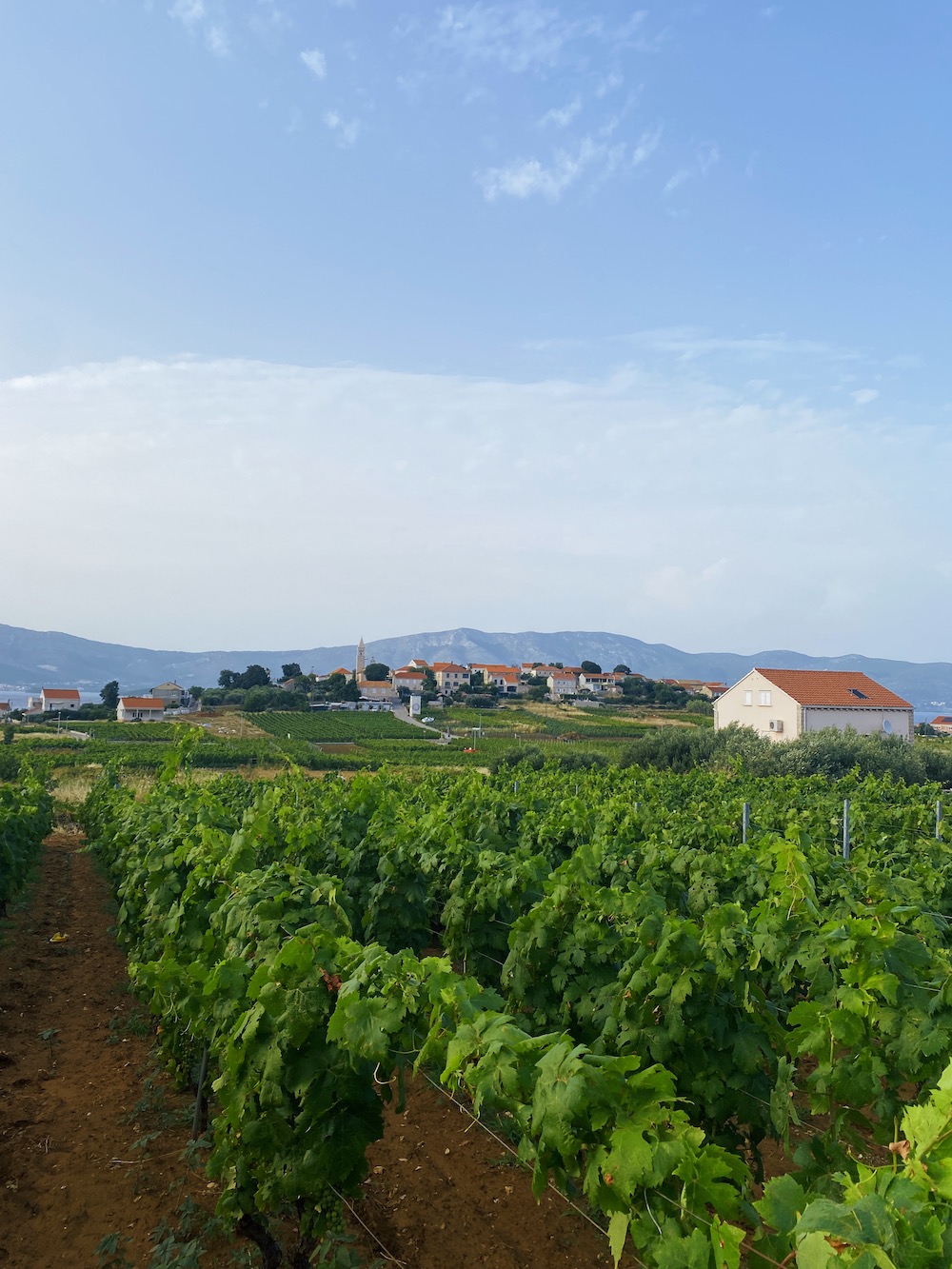 Korcula eiland Kroatië