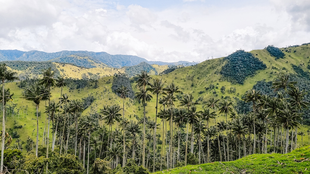 La Carbonera Vallei