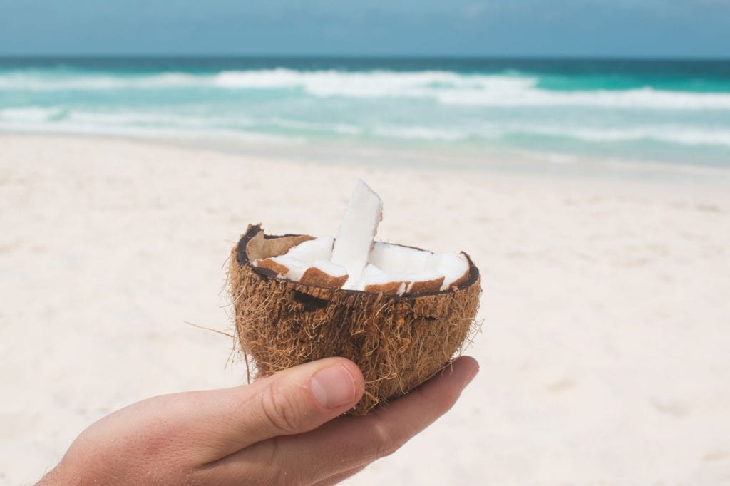 La Digue petite anse kokosnoot eten