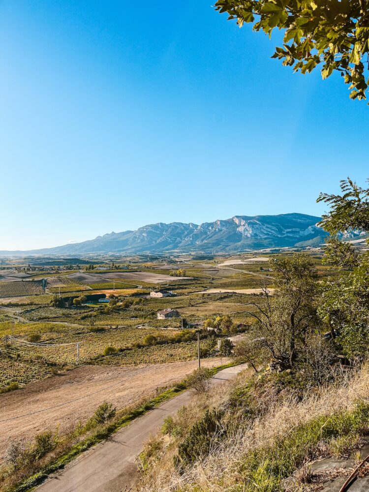 Laguardia, uitzicht Rioja streek