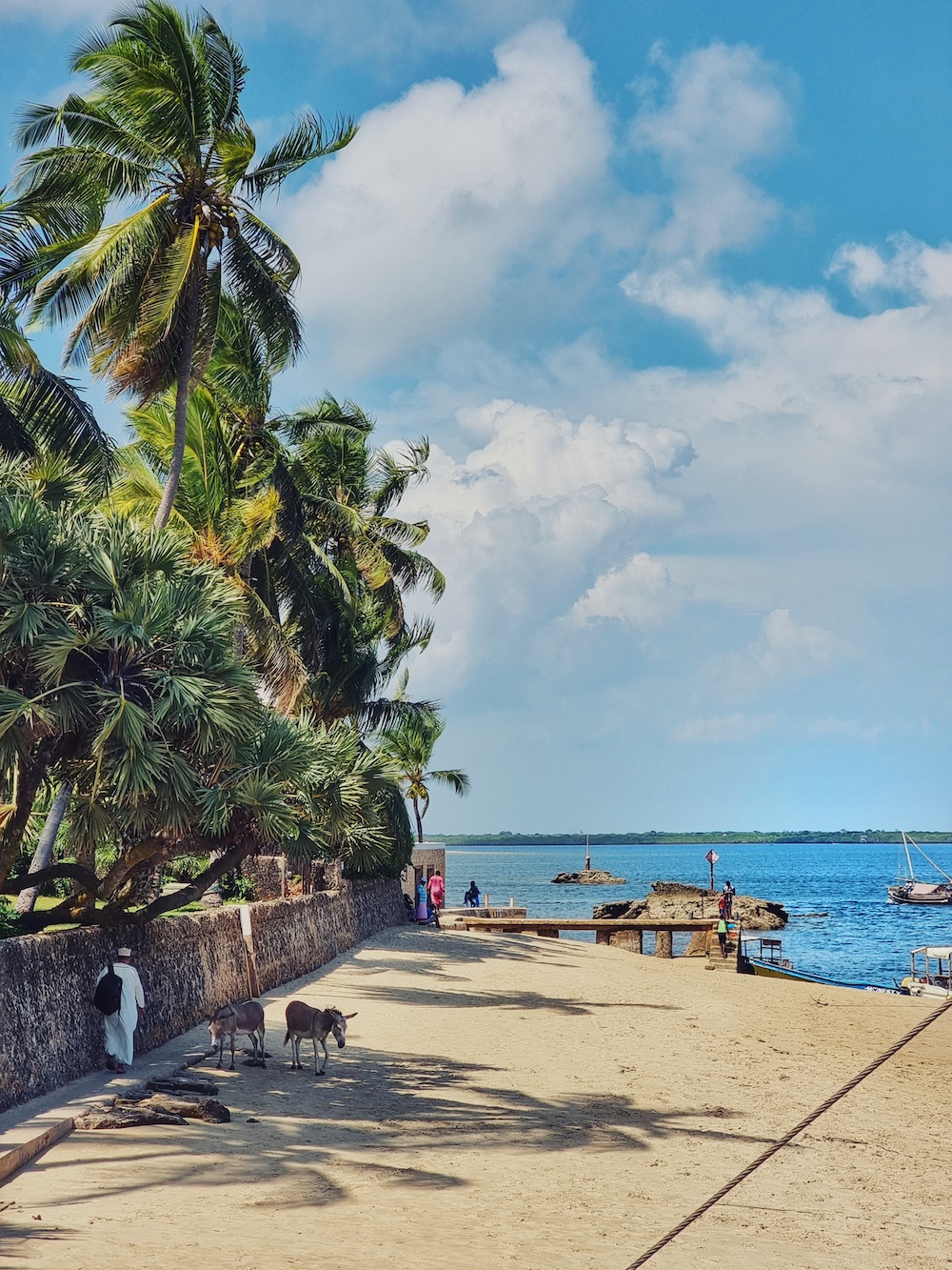 Lamu Kenia Shella strand