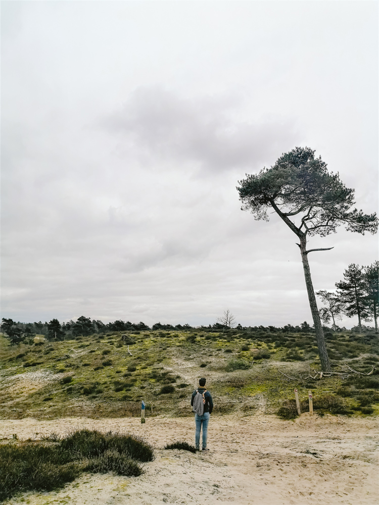 Landgoed Bleijenbeek wandelen Maasduinen limburg