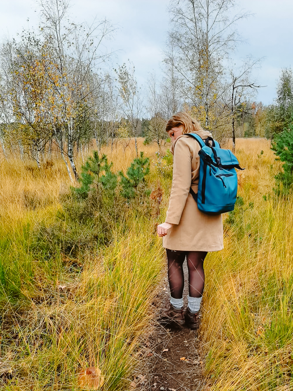 Landschotse Heide