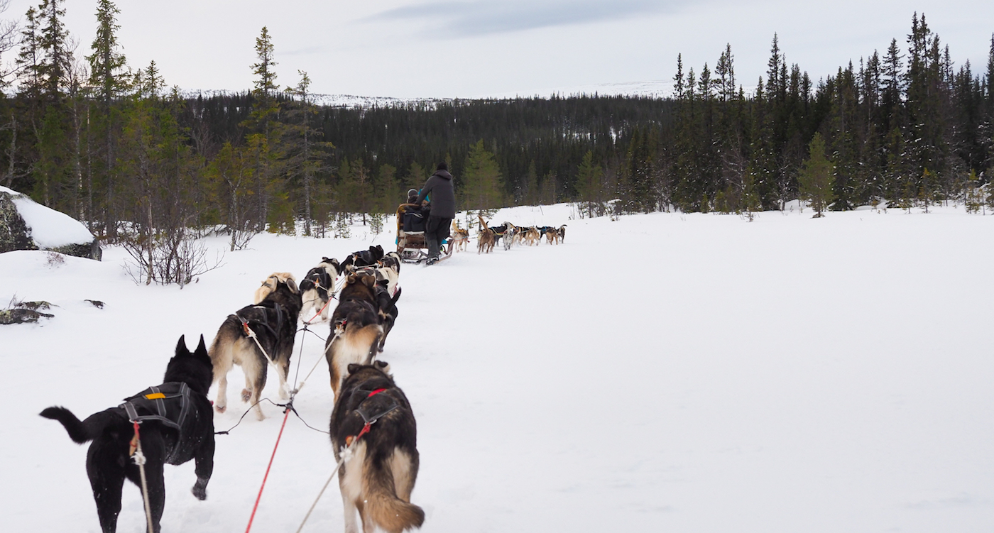 Lapland activiteiten