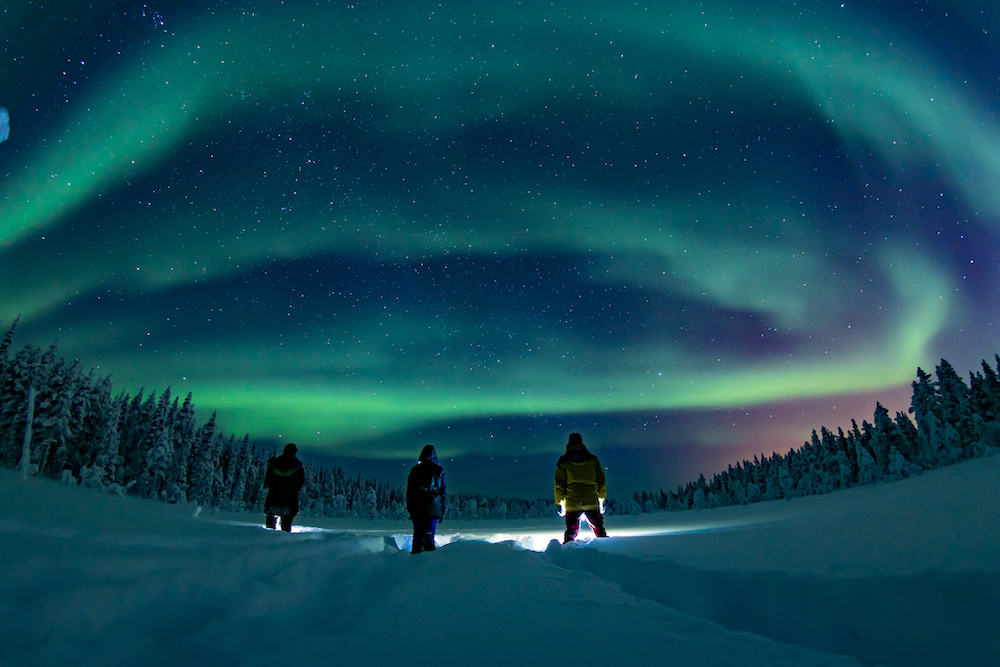 Lapland Travel: Beleef Een Ultieme (én Betaalbare!) Winterreis Husky's ...