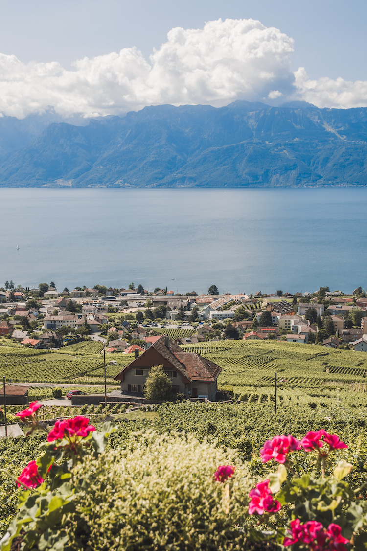 Lavaux omgeving lausanne uitzicht meer van geneve