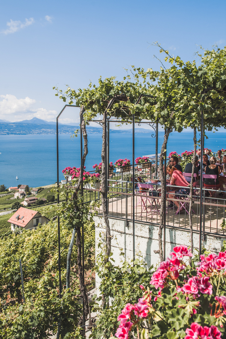 Lavaux terrasje zwitserland