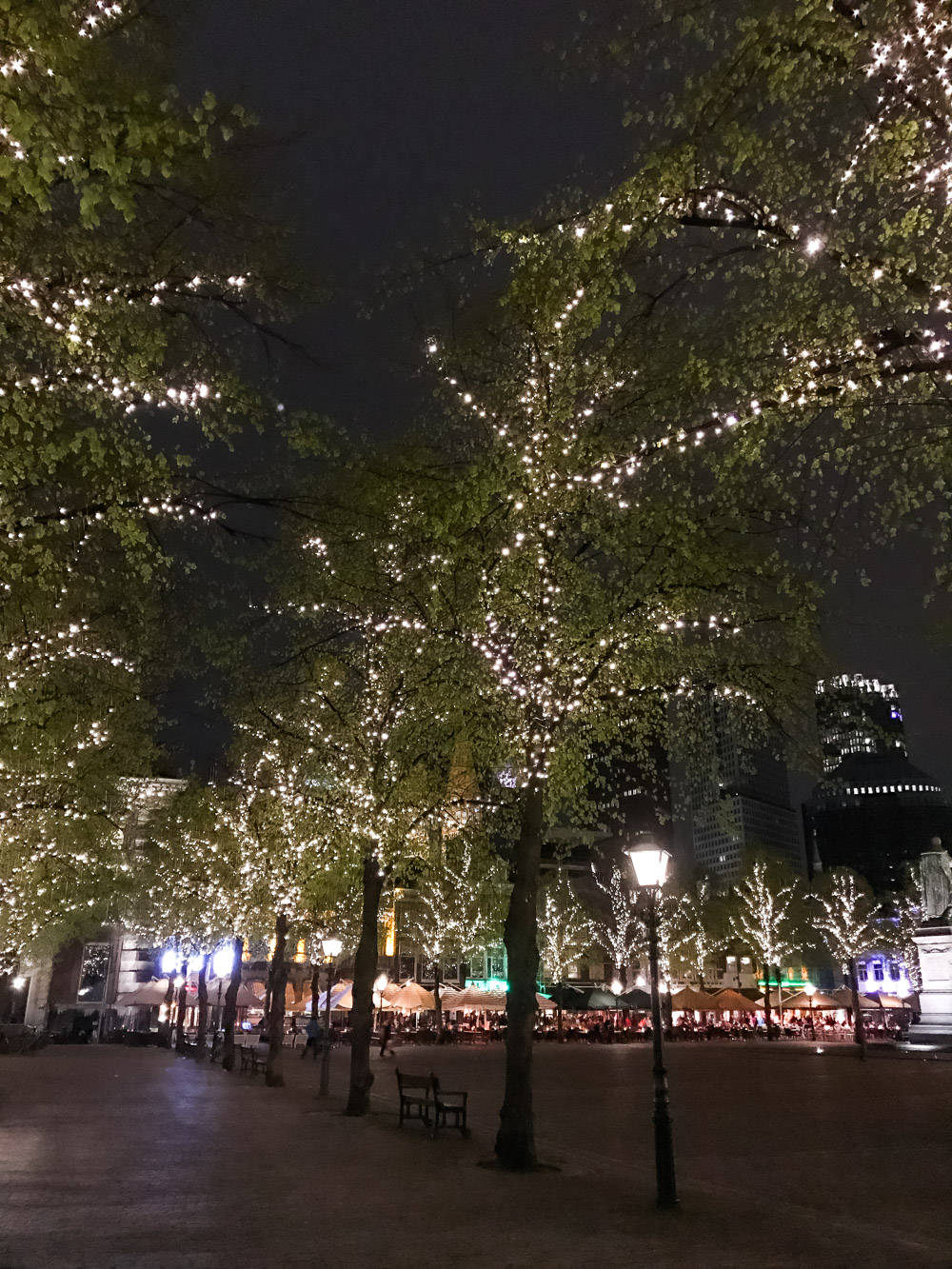 Leuke steden Nederland Den Haag