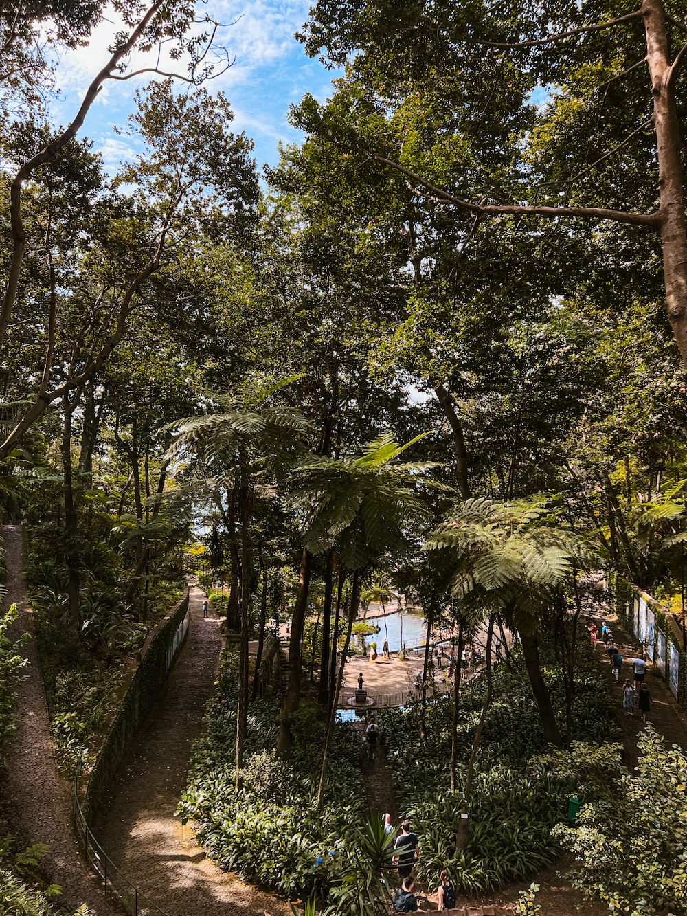 Levada Madeira