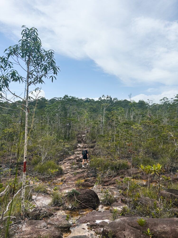 Lintang route Bako National Park